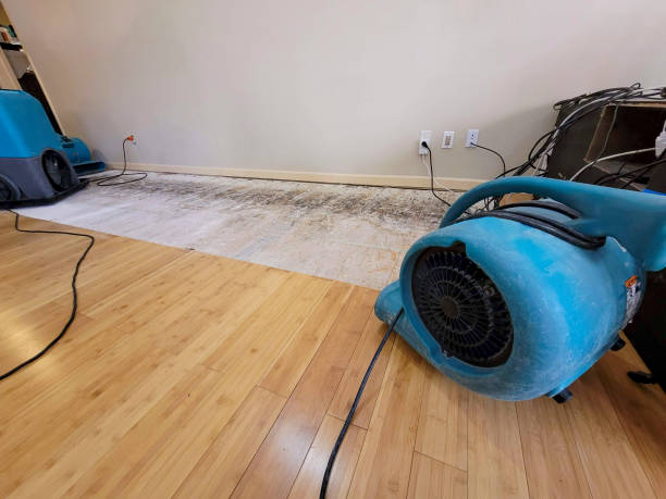 Professional Water Damage Repair technician working in Steen, MN